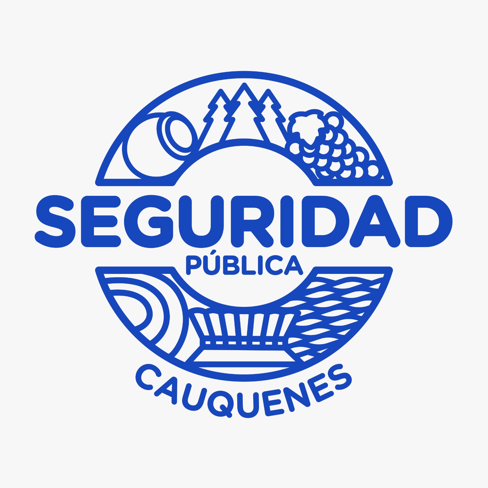 Seguridad Pública Cauquenes